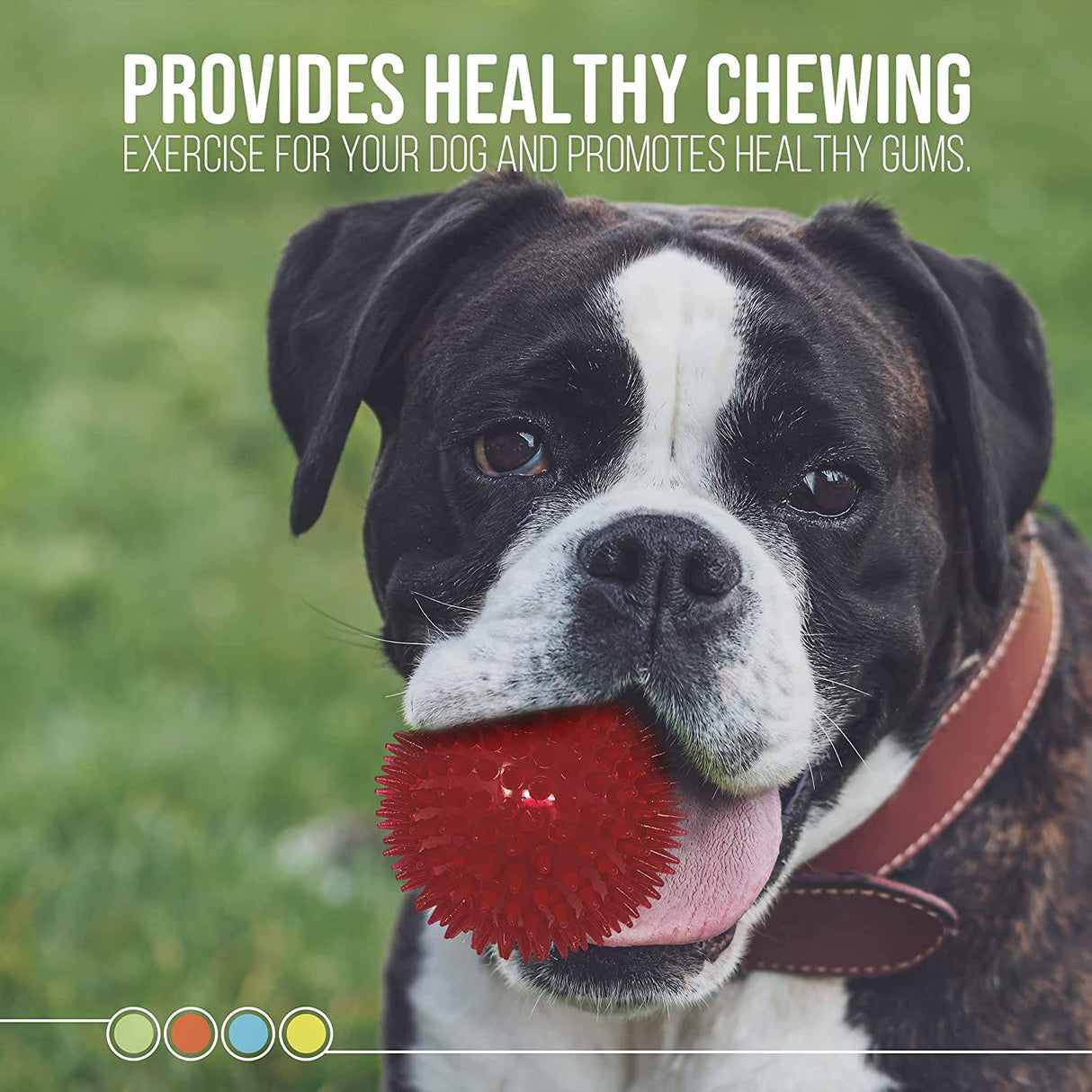 Dipperdap 4-Pack Squeaky Dog Toys 3.5" Spikey Dog Balls | Limpia los dientes para encías más sanas | Juguetes para perros no tóxicos sin BPA para masticadores agresivos | Bolas puntiagudas en rojo, azul, amarillo y verde - DIGVICE MX