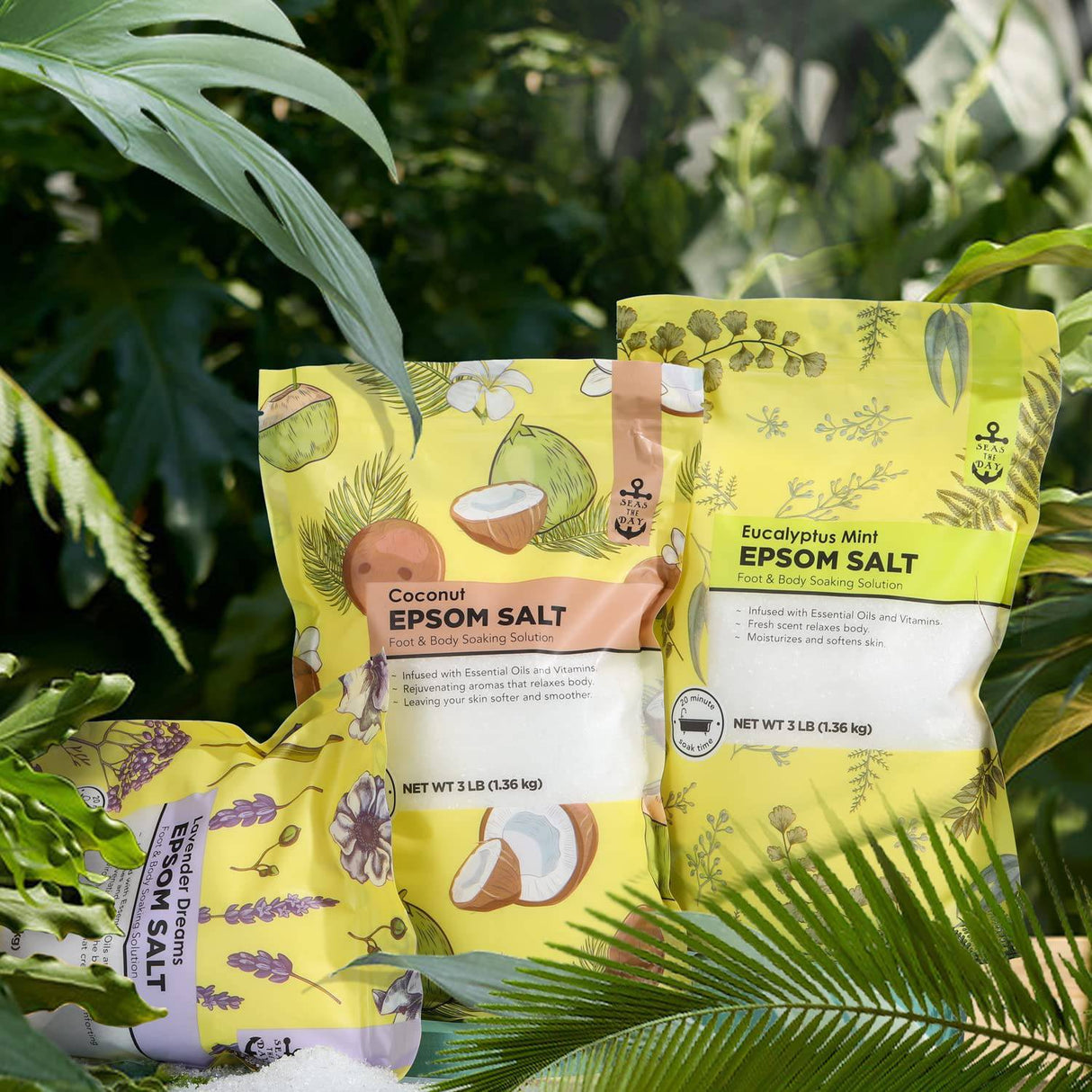 Seas the Day - Sal de Epsom para remojo, sales de baño con lavanda y coco y aroma de menta Eucalyplus 3 lb, juego de spa a granel de sales de Epsom para mujeres relajantes 3 lb x 3 piezas