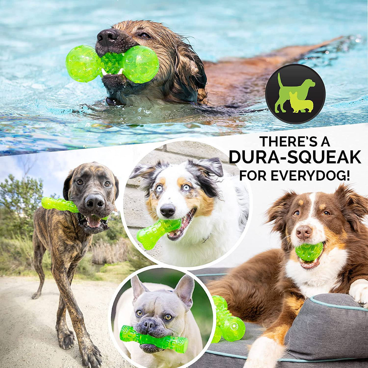 Hyper Pet DuraSqueak Dog Ball Juguetes para perros (juguetes interactivos para perros que flotan y chirrían) - DIGVICE MX