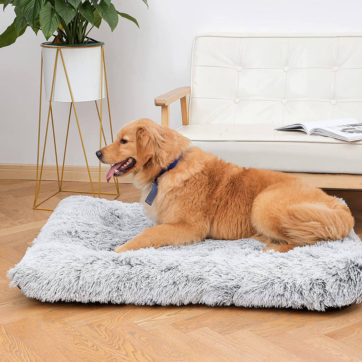 Sycoodeal - Alfombrilla para cama de perro, cama de felpa suave para perro, cama lavable para jaula de perro. - DIGVICE MX