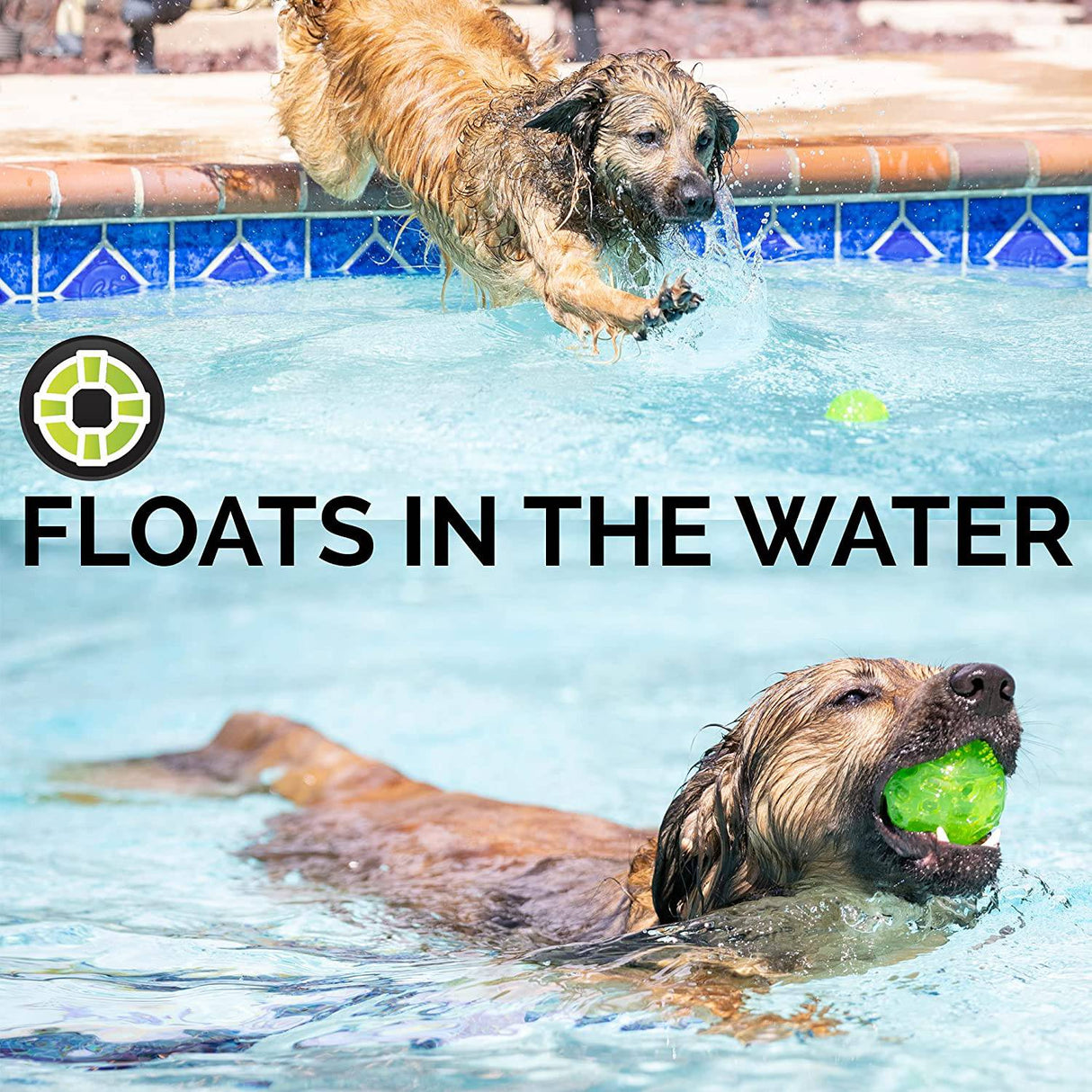 Hyper Pet DuraSqueak Dog Ball Juguetes para perros (juguetes interactivos para perros que flotan y chirrían) - DIGVICE MX