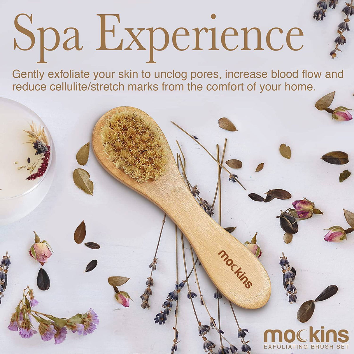 Nevlers - Juego de cepillos para el cuerpo de jabalí natural con cepillo para celulitis desmontable, mango largo de madera para cepillado en seco y cepillo facial | Kit Perfecto para Exfoliar y Aliviar