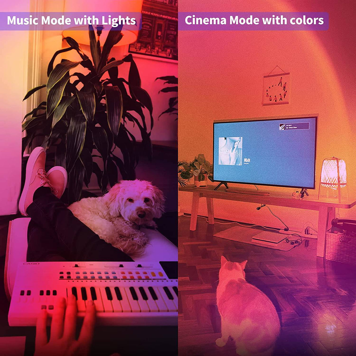 MagicLight Smart BR30 Bombillas de luz de inundación, intensidad regulable que cambia de color, equivalente a 100 W, luz LED empotrable, bombillas de luz WiFi, funciona con Alexa Google Assistant SmartThings (2 unidades) - DIGVICE MX