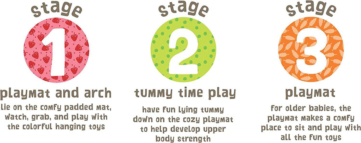 Early Learning Centre Blossom Farm Playmat & Arch, desarrollo físico, coordinación mano-ojo, estimula los sentidos, juguetes para bebés de más de 0 meses, de Just Play - DIGVICE MX