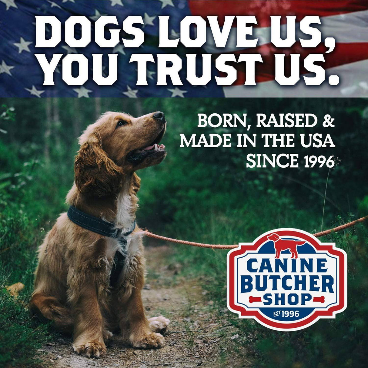 CANINE BUTCHER - Criada y fabricada en EE. UU. Orejas de cerdo para perros, golosina masticable de cerdo totalmente natural y digerible - DIGVICE MX