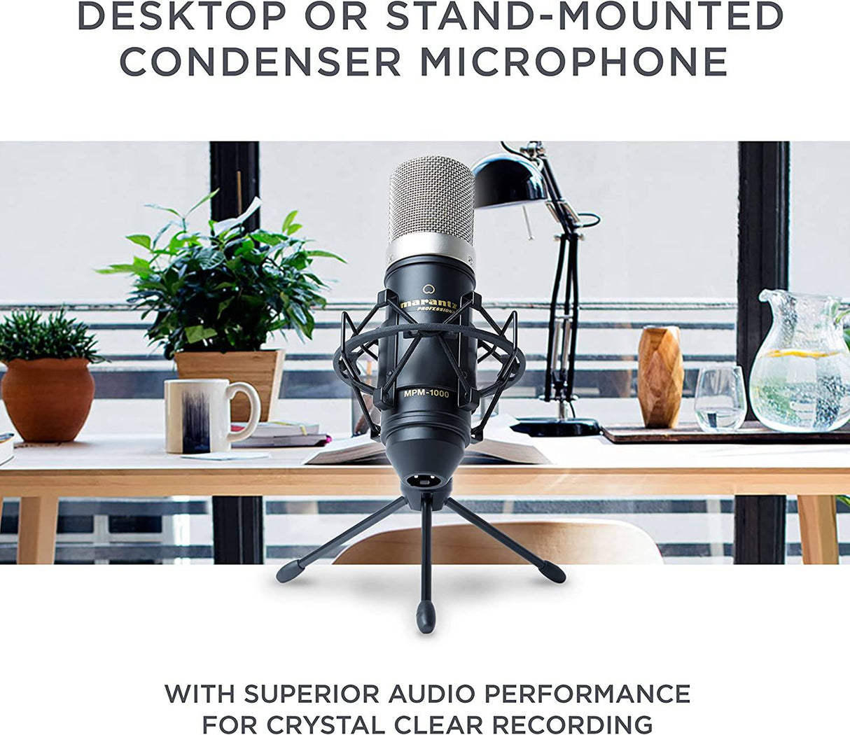 Marantz Professional MPM-1000 - Micrófono de condensador XLR para grabación de estudio con soporte de escritorio y cable - Para proyectos de podcast y transmisión