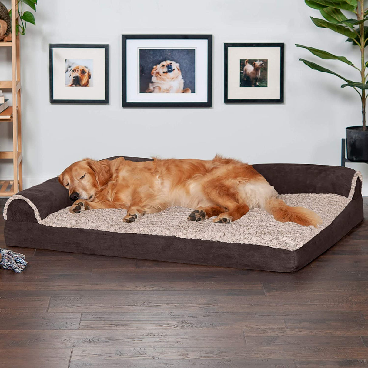 Furhaven Cama para perros ortopédico, gel refrescante y espuma viscoelástica JUMBO - DIGVICE MX