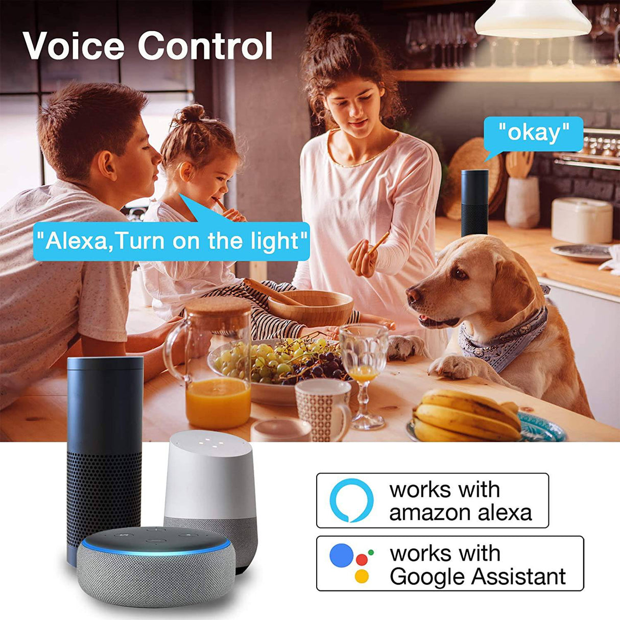 DAYBETTER Bombillas inteligentes, RGBCW Wi-Fi que cambian de color, bombillas LED compatibles con Alexa y Google Home Assistant, A19 E26 9W 800LM Bombilla LED multicolor, no requiere concentrador, bombillas 6 unidades - DIGVICE MX