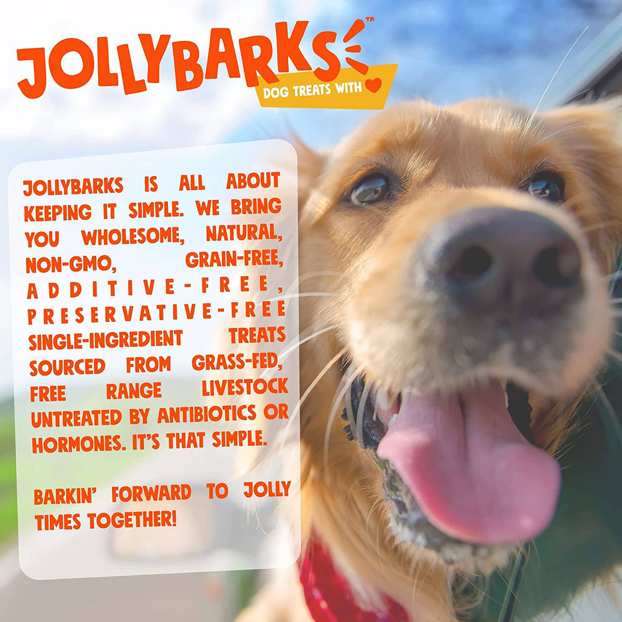 JollyBarks Mammoth hueso grande para perro de 16 pulgadas, masticables premium para perros masticadores agresivos, perros grandes, saludables de larga duración, todos los huesos naturales para perros, hueso gigante para perros (1 hueso) - DIGVICE MX