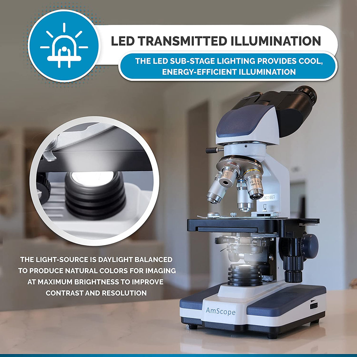 Microscopio compuesto binocular AmScope B120C Siedentopf 40X-2500X