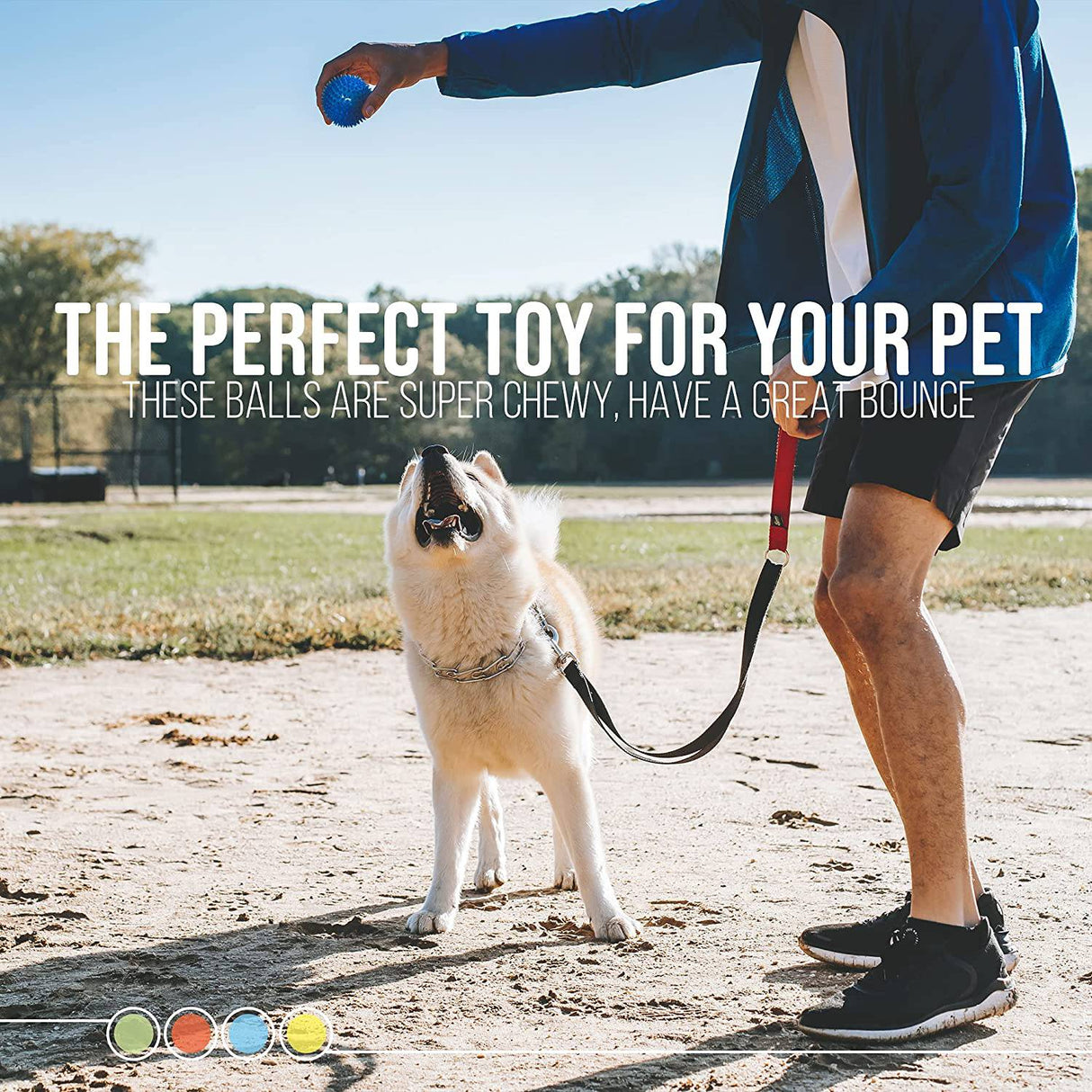 Dipperdap 4-Pack Squeaky Dog Toys 3.5" Spikey Dog Balls | Limpia los dientes para encías más sanas | Juguetes para perros no tóxicos sin BPA para masticadores agresivos | Bolas puntiagudas en rojo, azul, amarillo y verde - DIGVICE MX