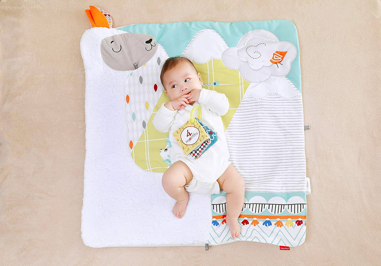 Fisher-Price - Gimnasio de lujo Perfect Sense - DIGVICE MX