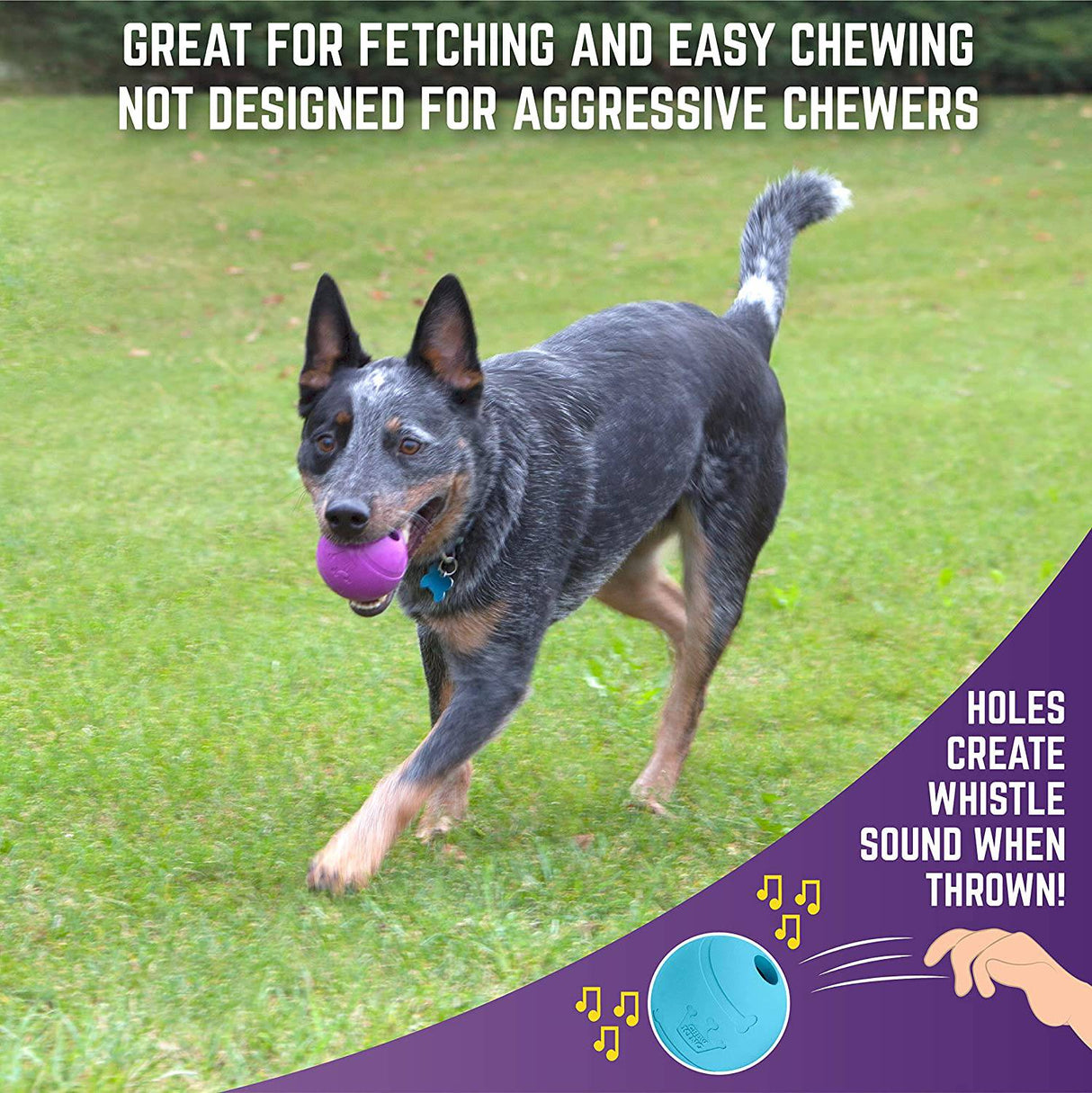 Chew King Fetch Balls Pelotas para perros 3 pack - DIGVICE MX