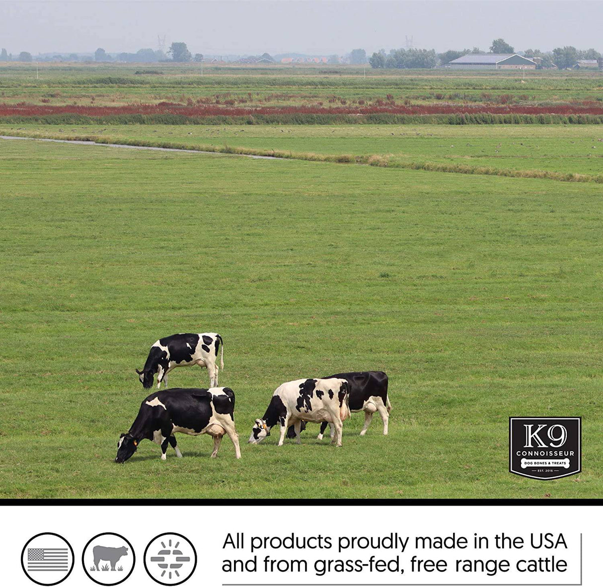 K9 Connoisseur Huesos de perro de un solo ingrediente Fabricados en EE. UU. Natural Marrow Filled Dynamo Bone Chew Treats para perros masticadores agresivos de raza pequeña a mediana - Mejor hasta 50 libras - DIGVICE MX