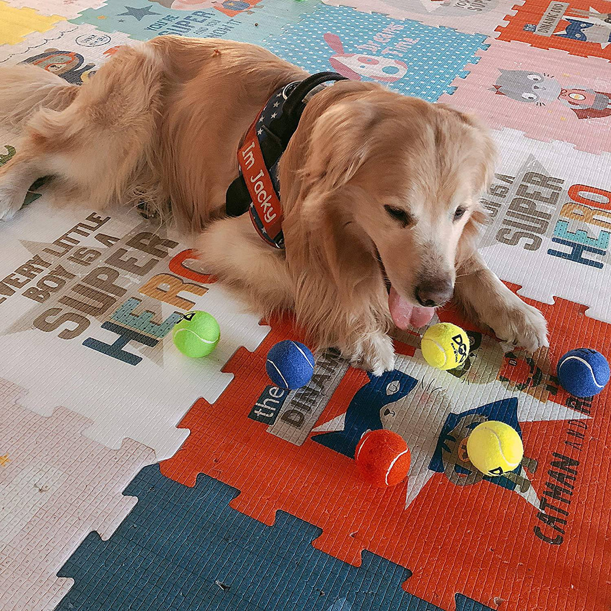 Insum - Pelota de tenis para perro (paquete de 12, colorida, fácil de atrapar, para perros,… - DIGVICE MX