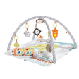 Fisher-Price - Gimnasio de lujo Perfect Sense - DIGVICE MX