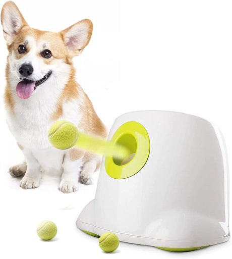AFP Lanzador automático de pelotas para perros Cachorros interactivos Pelota para mascotas Máquina lanzadora de interior Máquina para perros pequeños y medianos, 3 bolas incluidas (2 pulgadas) - DIGVICE MX