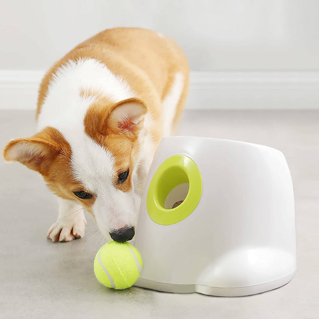 Alimentador automático de pelotas para perros pequeños y medianos, máquina  de lanzamiento de juguetes, divertido lanzador