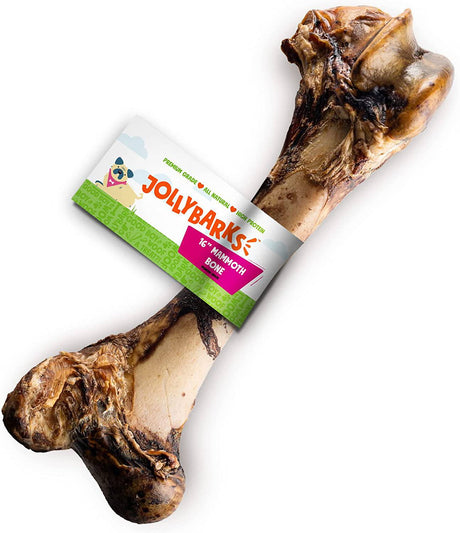 JollyBarks Mammoth hueso grande para perro de 16 pulgadas, masticables premium para perros masticadores agresivos, perros grandes, saludables de larga duración, todos los huesos naturales para perros, hueso gigante para perros (1 hueso) - DIGVICE MX
