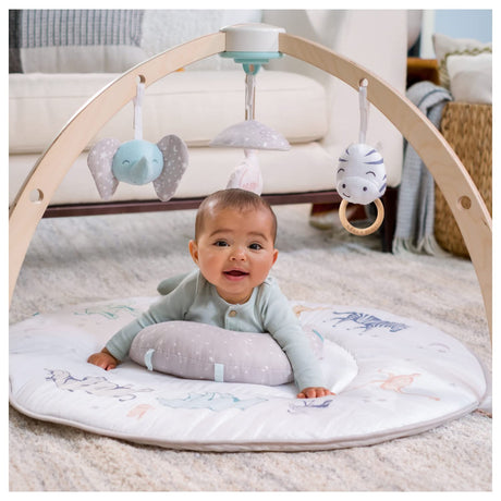 aden + anais Play and Discover Baby Activity Gym - Más de 30 beneficios para el desarrollo - 3 juguetes acoplables + almohada de felpa para el tiempo boca abajo - DIGVICE MX