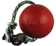 Jolly Pets Romp-n-Roll Juguete para perro con cuerda y pelota - DIGVICE MX