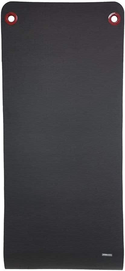Power Systems Single Premium Colchoneta colgante para ejercitarse. 56 x 23 x 5/8-Inch