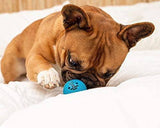 Pet Qwerks - Juguete interactivo para perros - DIGVICE MX