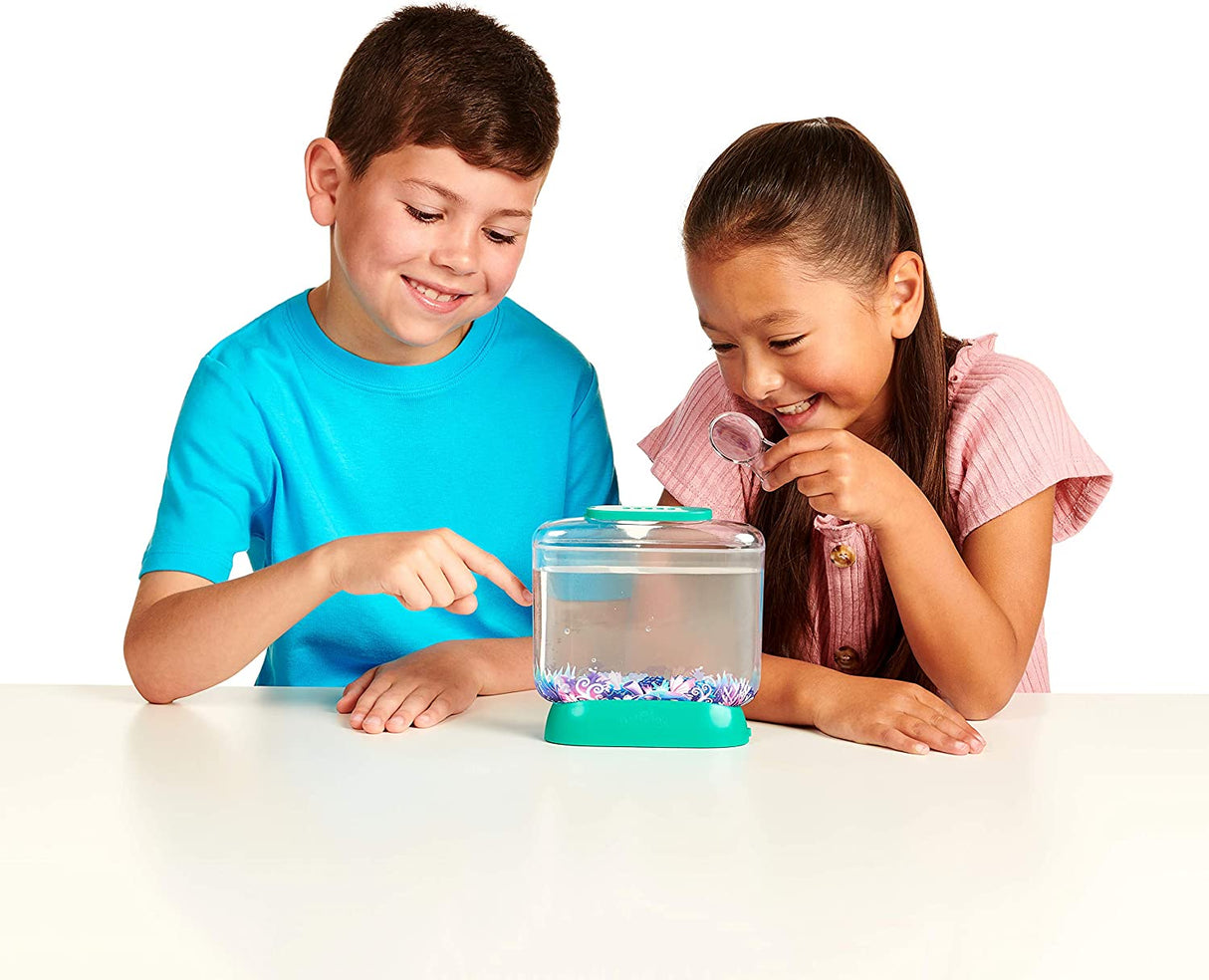 Little Live Aqua Dragons - Hábitat de aguas profundas - Escotilla de tanque con luz LED y crecimiento de mascotas acuáticas 26025