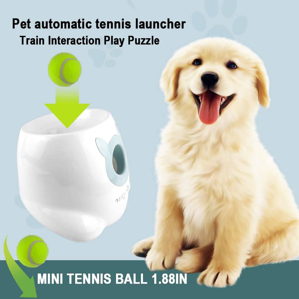 BESTZONE Lanzador de bolas automático interactivo para perros, máquina lanzadora para perros pequeños y medianos, 6 bolas incluidas (1.88 pulgadas), distancia de lanzamiento de 10 a 30 pies - DIGVICE MX