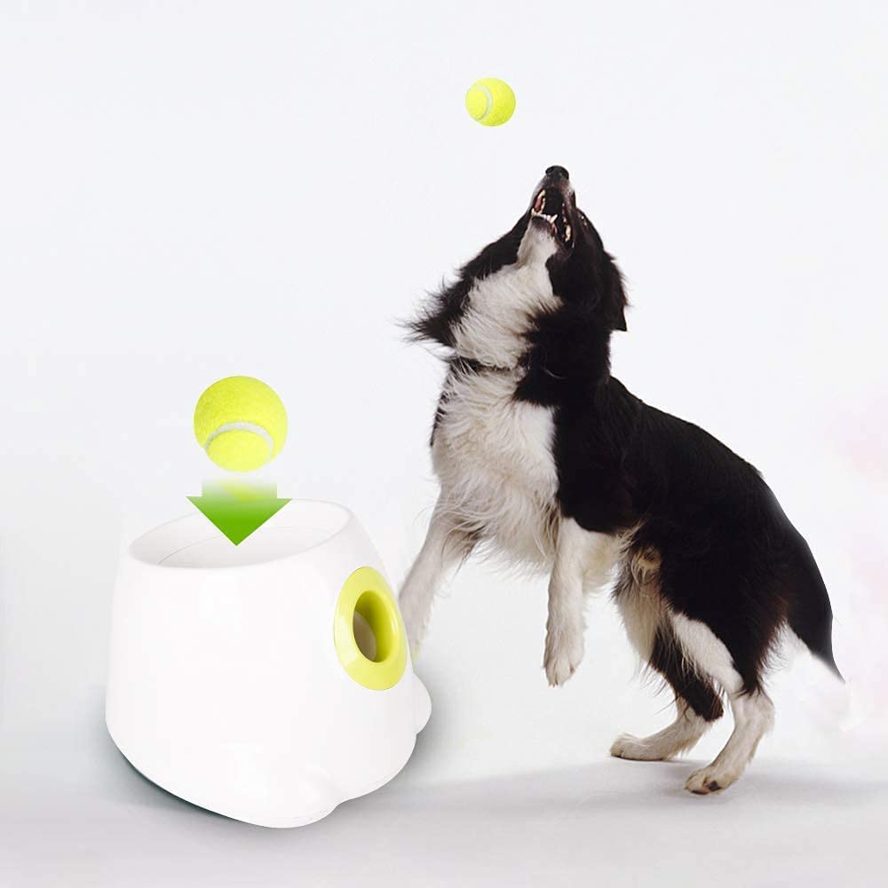 AFP Lanzador automático de pelotas para perros Cachorros interactivos Pelota para mascotas Máquina lanzadora de interior Máquina para perros pequeños y medianos, 3 bolas incluidas (2 pulgadas) - DIGVICE MX