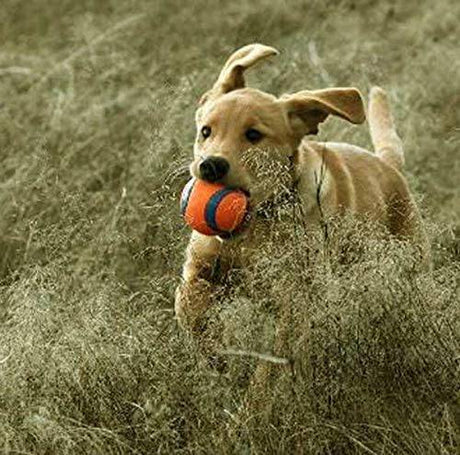 Chuckit! Ultra Ball medium - DIGVICE MX