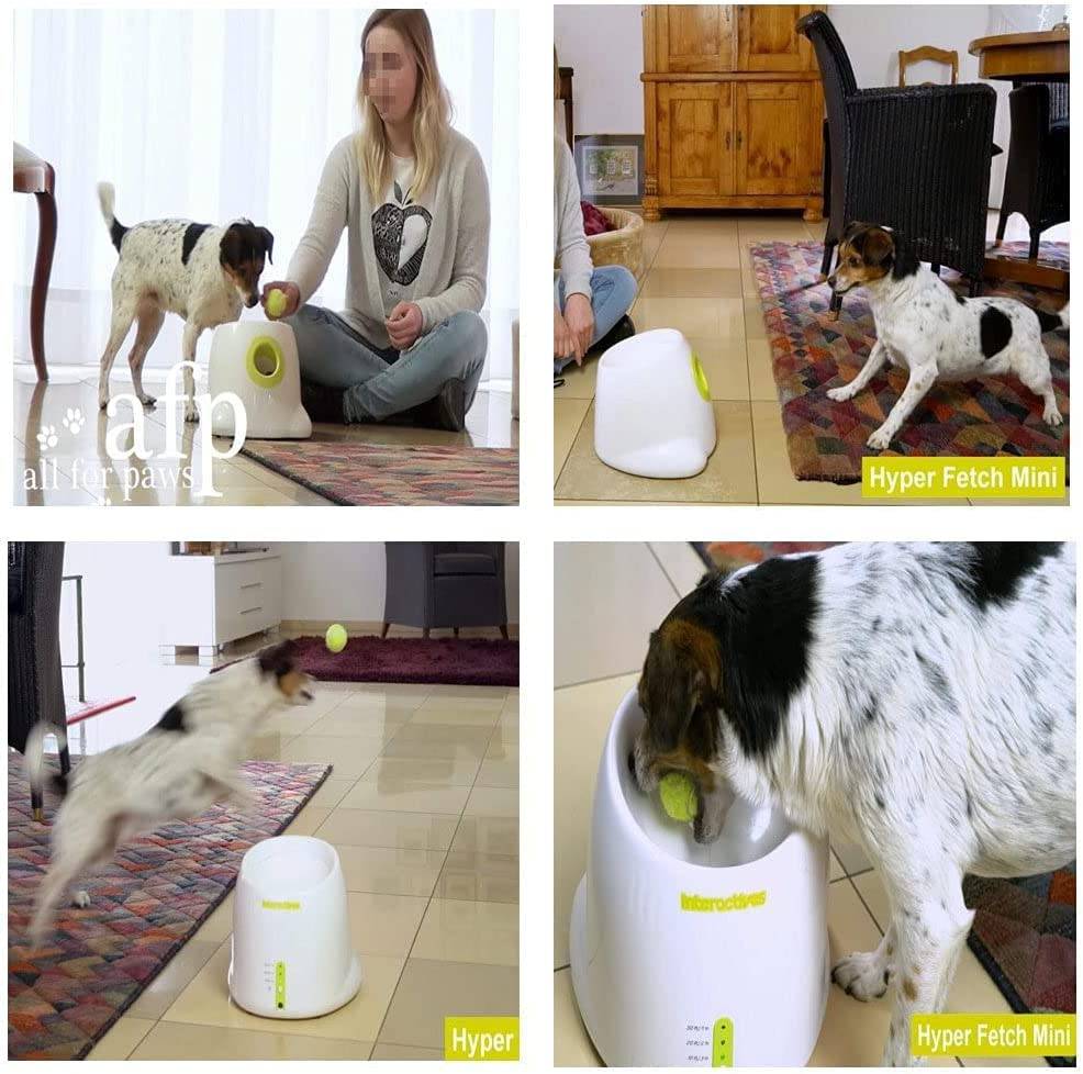 AFP Lanzador automático de pelotas para perros Cachorros interactivos Pelota para mascotas Máquina lanzadora de interior Máquina para perros pequeños y medianos, 3 bolas incluidas (2 pulgadas) - DIGVICE MX