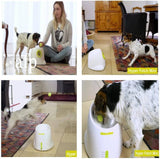 AFP Lanzador automático de pelotas para perros Cachorros interactivos Pelota para mascotas Máquina lanzadora de interior Máquina para perros pequeños y medianos, 3 bolas incluidas (2 pulgadas) - DIGVICE MX