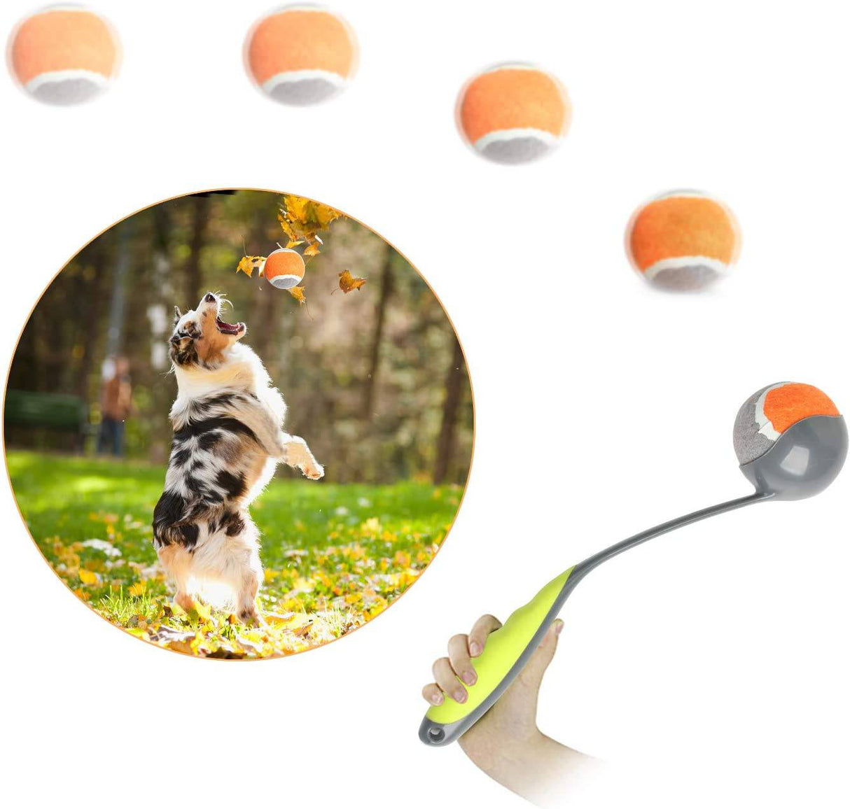 PAWISE  - Lanzador de pelotas para perros Lanzador de pelotas de tenis para perros - DIGVICE MX
