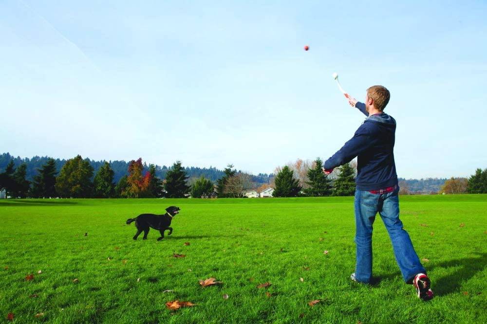 ChuckIt!  - Lanzador de pelotas - DIGVICE MX