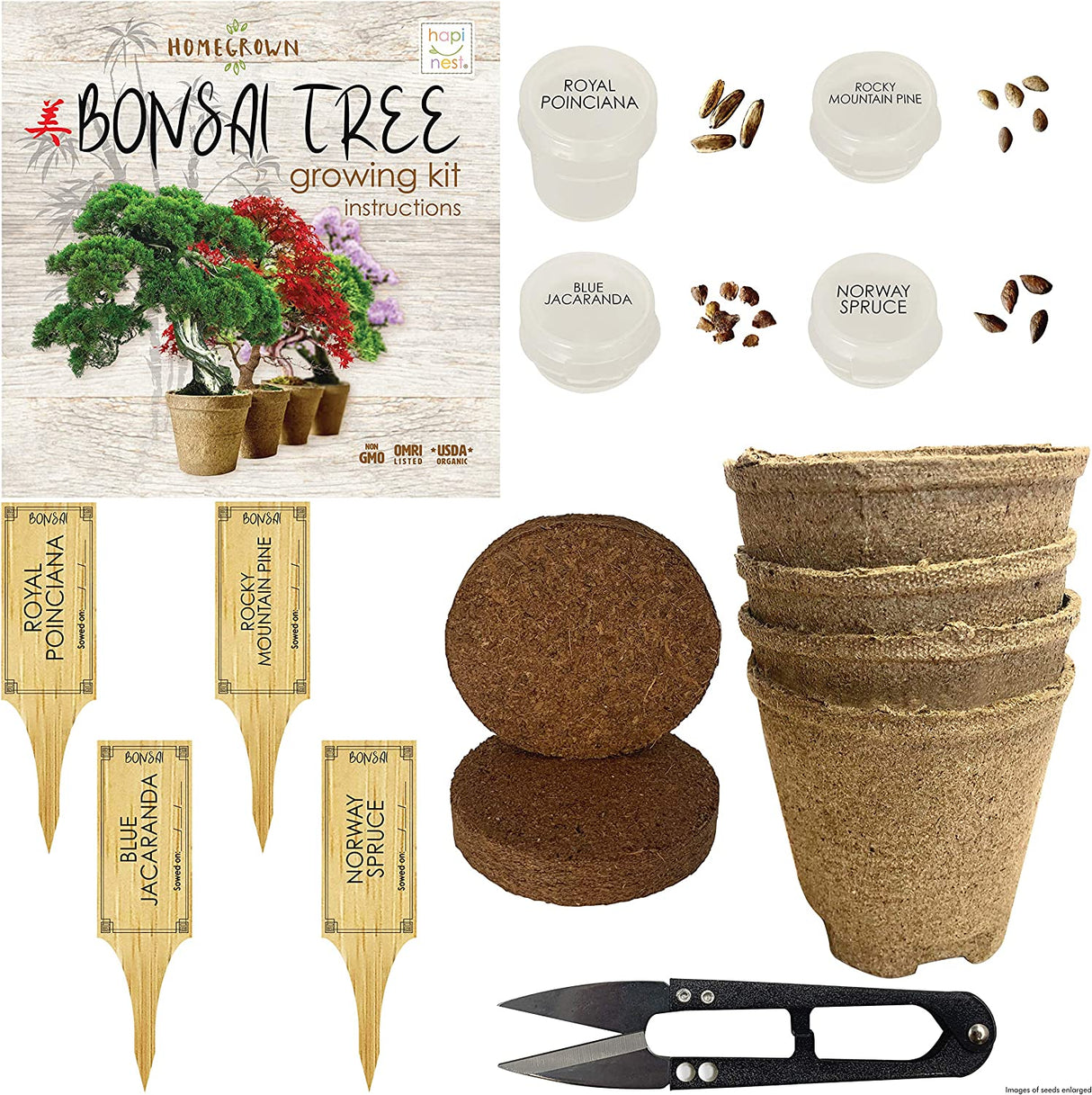Hapinest Bonsai Tree Indoor Starter Kit 4 tipos de semillas de árboles Bonsai