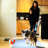Chuckit! Indoor Juguete para perro - DIGVICE MX