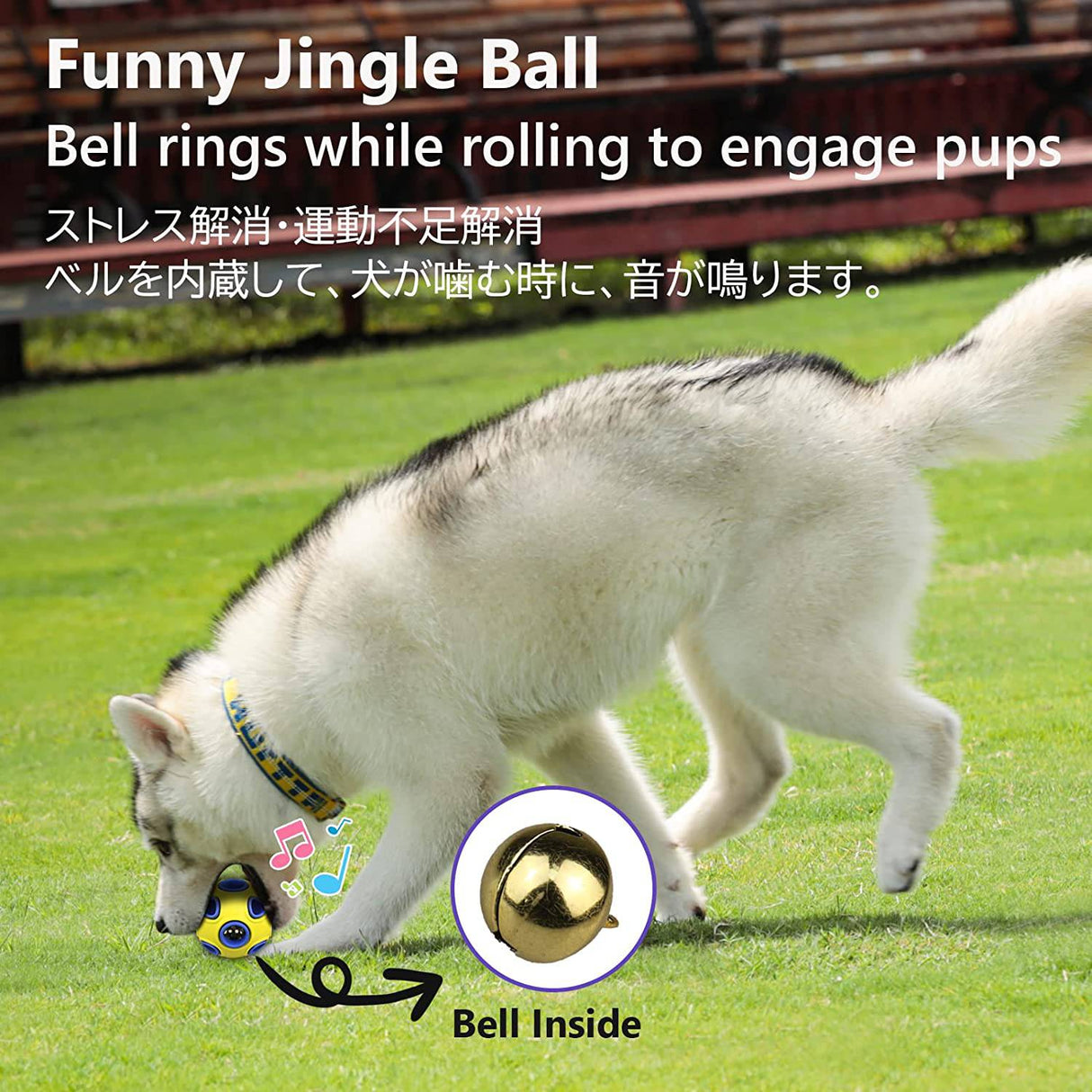 SCHITEC - Pelotas para perros con sonido de campana, pelota hinchable de goma para perros medianos y grandes, juguetes interactivos para masticar mascotas - DIGVICE MX