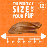 JollyBarks  - Orejas de cerdo para perros de 6 pulgadas, de un solo ingrediente natural de primera calidad, alimentado con hierba, sin OMG, de 6 pulgadas para cachorros, masticables para perros (paquete de 12) - DIGVICE MX