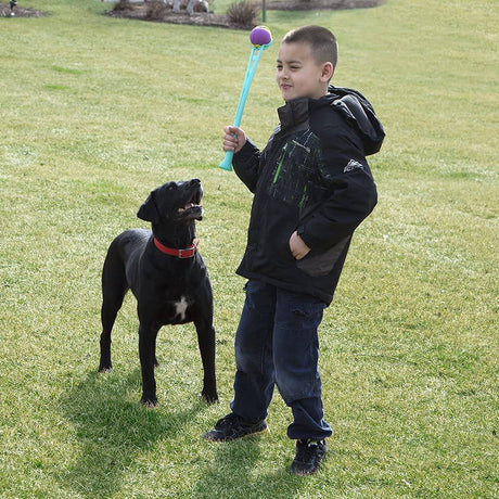 Chew King Ball Launcher - Bolas de 2,5", lanzador de bolas - Bolas de 3", juego combinado para perros - DIGVICE MX