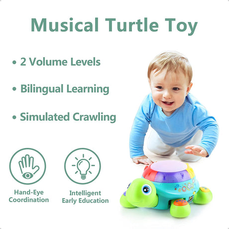 iPlay, iLearn Baby Musical Turtle Toy, Español Inglés Aprendizaje bilingüe, Juguetes para gatear para niños pequeños - B0792MVKQX