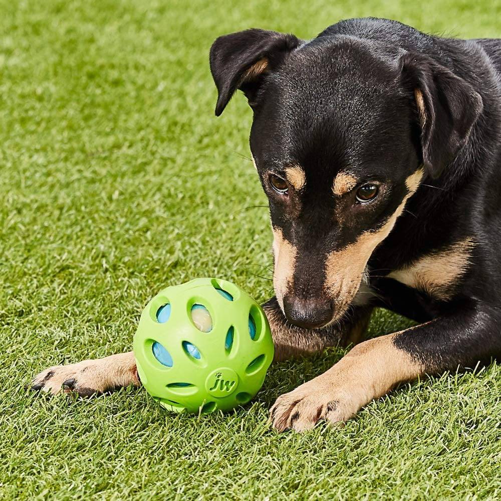 JW Pet Crackle Heads Crackle Ball Pelota para perros - DIGVICE MX