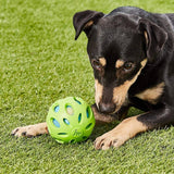 JW Pet Crackle Heads Crackle Ball Pelota para perros - DIGVICE MX