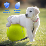 Pelota de tenis para perros Banfeng gigante de 9,5 ", juguetes grandes para mascotas, divertidos deportes al aire libre, pelota para perros, regalo con agujas de inflado - DIGVICE MX