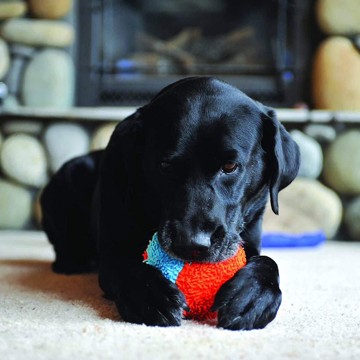 Chuckit! Indoor Juguete para perro - DIGVICE MX