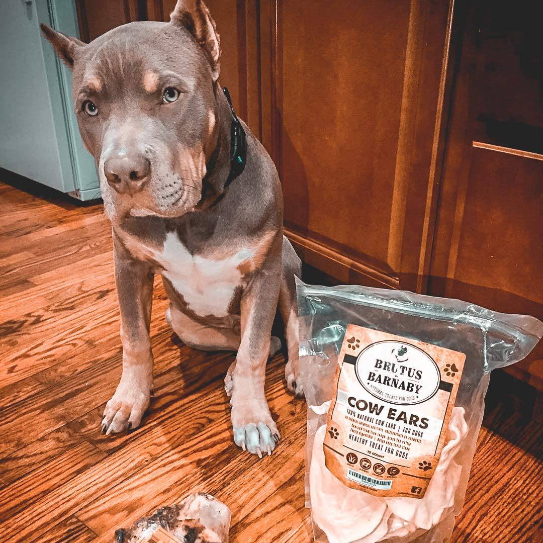 BRUTUS & BARNABY Todo natural, orejas de vaca enteras para perros, cosechadas de campo libre, sin hormonas añadidas, ganado alimentado con pasto - DIGVICE MX
