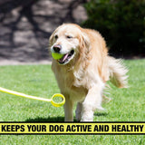 Hyper Pet Dog Ball Launcher, Dog Ball Thrower-Juguetes interactivos para perros (cargar y lanzar pelotas de tenis para que los perros las busquen) - DIGVICE MX