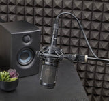 Audio-Technica AT2035 Micrófono de condensador cardioide, perfecto para estudio, podcasting y transmisión, salida XLR, incluye soporte de choque personalizado