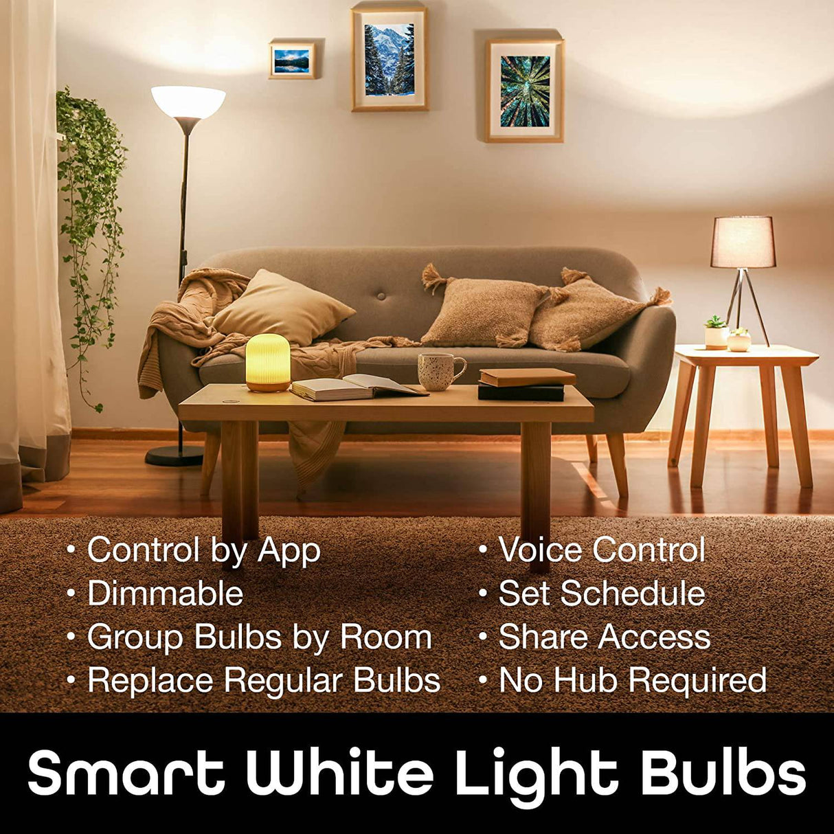 Geeni LUX 800 regulable A19 bombillas LED blancas inteligentes para el hogar, funciona con Alexa y Google Home, no requiere concentrador, requiere WiFi de 2,4 GHz (paquete de 3) - DIGVICE MX