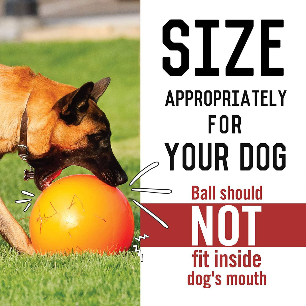 2 pelotas para perros, pelotas para perros indestructibles, pelotas para  perros, pelotas de tenis para perros